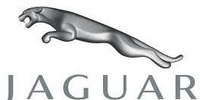 Jaguar(14)